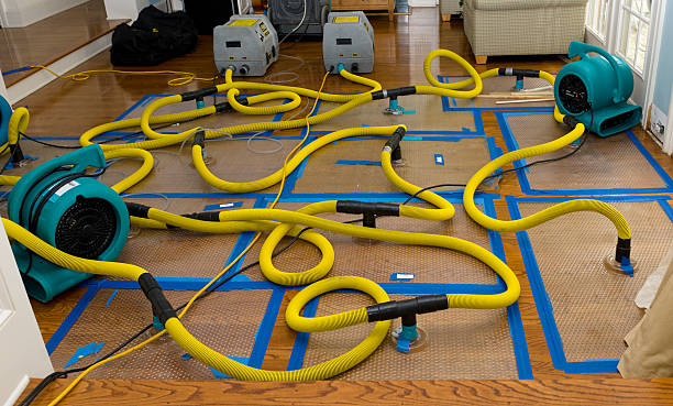 Professional Sewage Cleanup technician working in Avon Lake, OH